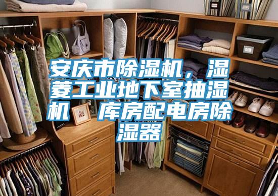 安慶市91看片网站，濕菱工業地下室抽濕機  庫房配電房除濕器