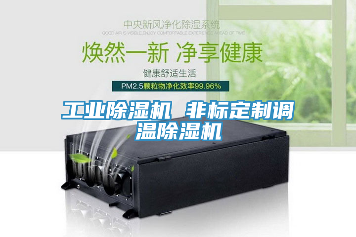 工業91看片网站 非標定製調溫91看片网站
