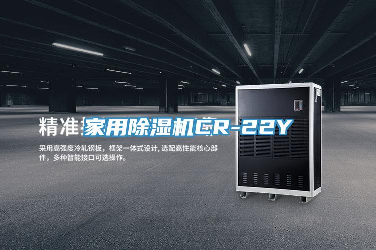 家用91看片网站CR-22Y