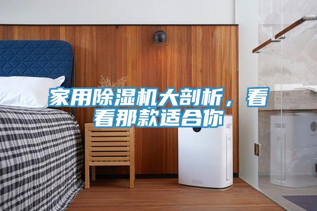 家用91看片网站大剖析，看看那款適合你