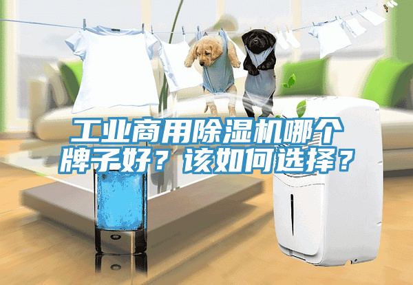 工業商用91看片网站哪個牌子好？該如何選擇？
