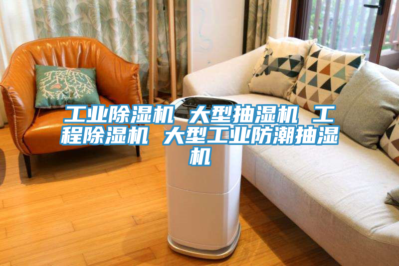 工業91看片网站 大型抽濕機 工程91看片网站 大型工業防潮抽濕機