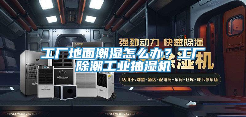 工廠地麵潮濕怎麽辦？工廠除潮工業抽濕機