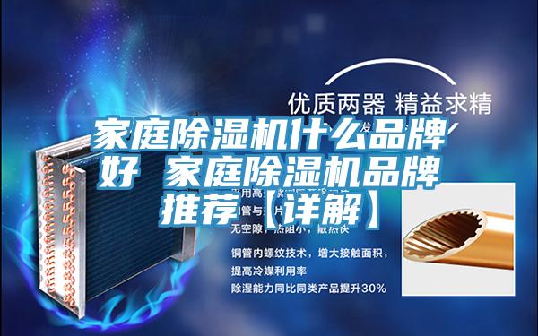 家庭91看片网站什麽品牌好 家庭91看片网站品牌推薦【詳解】