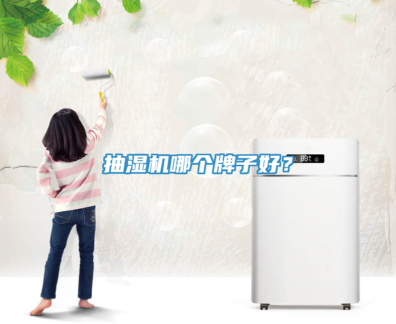 抽濕機哪個牌子好？