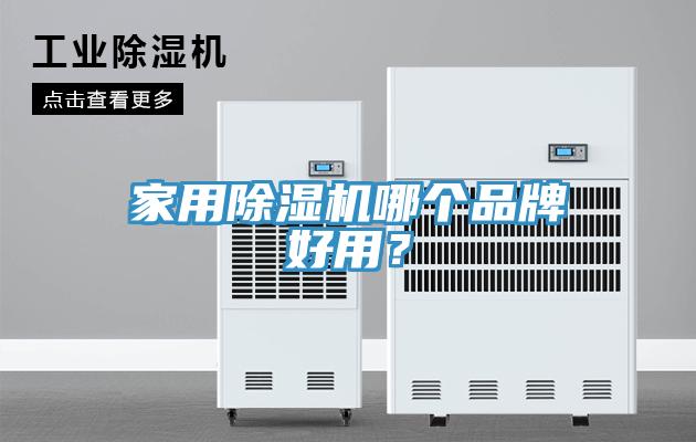 家用91看片网站哪個品牌好用？
