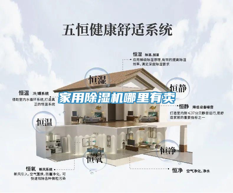 家用91看片网站哪裏有賣
