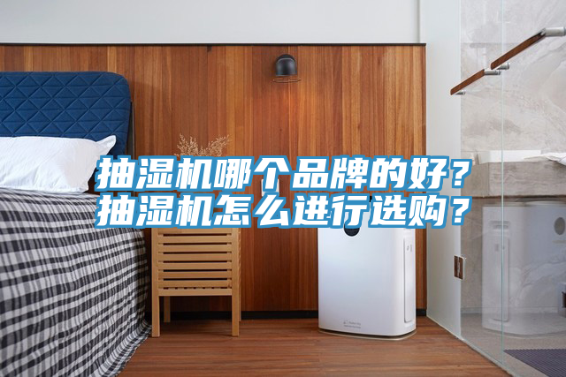 抽濕機哪個品牌的好？抽濕機怎麽進行選購？