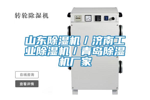 山東91看片网站／濟南工業91看片网站／青島91看片网站廠家