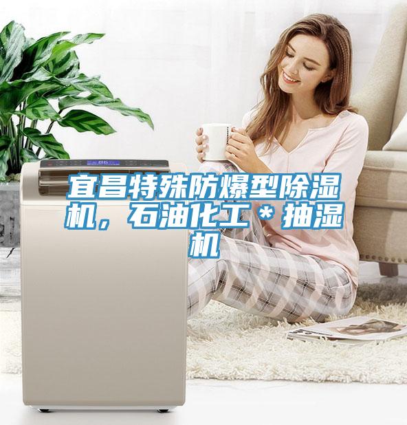宜昌特殊防爆型91看片网站，石油化工＊抽濕機