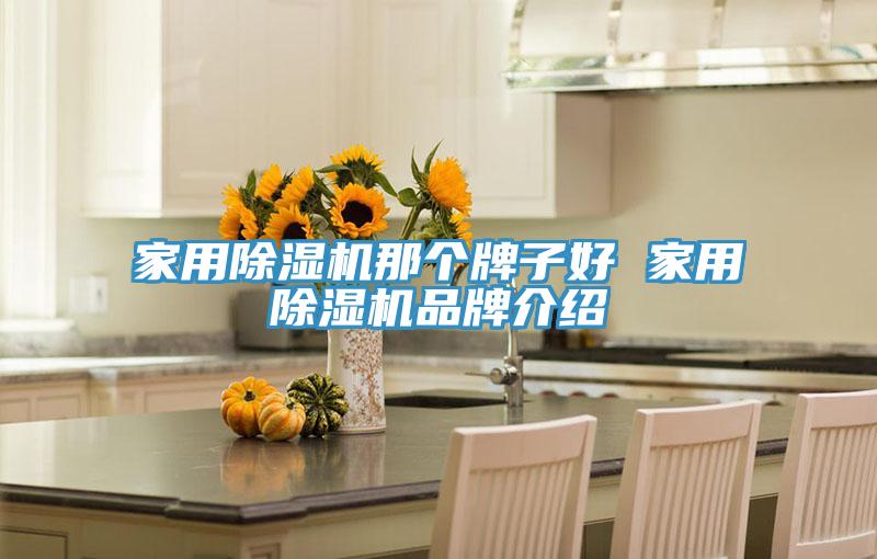 家用91看片网站那個牌子好 家用91看片网站品牌介紹