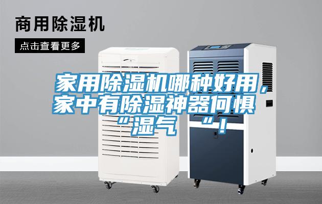 家用91看片网站哪種好用，家中有除濕神器何懼 “濕氣 “！