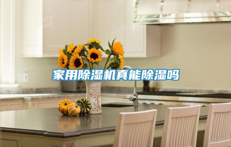 家用91看片网站真能除濕嗎