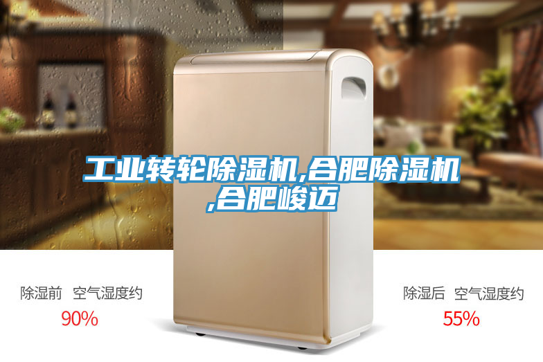 工業轉輪91看片网站,合肥91看片网站,合肥峻邁