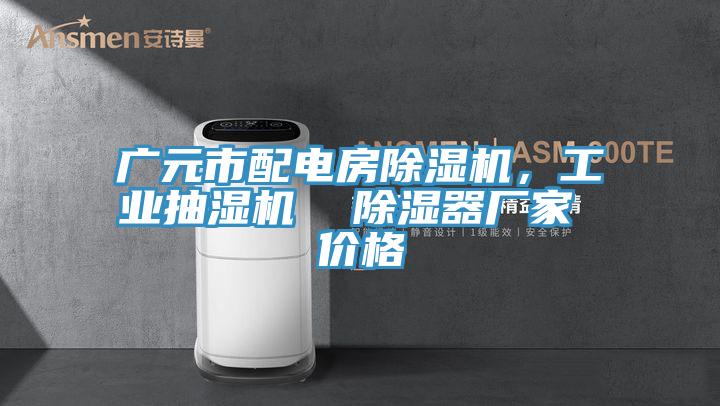 廣元市配電房91看片网站，工業抽濕機  除濕器廠家 價格