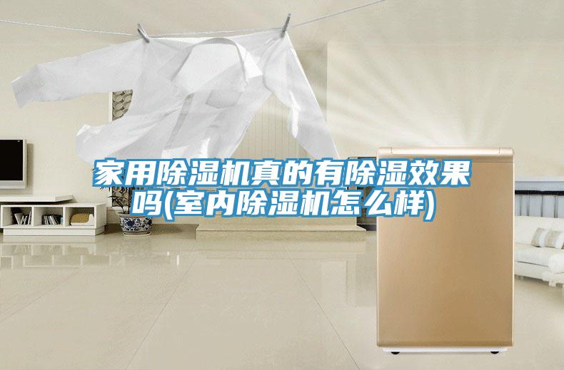 家用91看片网站真的有除濕效果嗎(室內91看片网站怎麽樣)