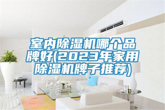 室內91看片网站哪個品牌好(2023年家用91看片网站牌子推薦)