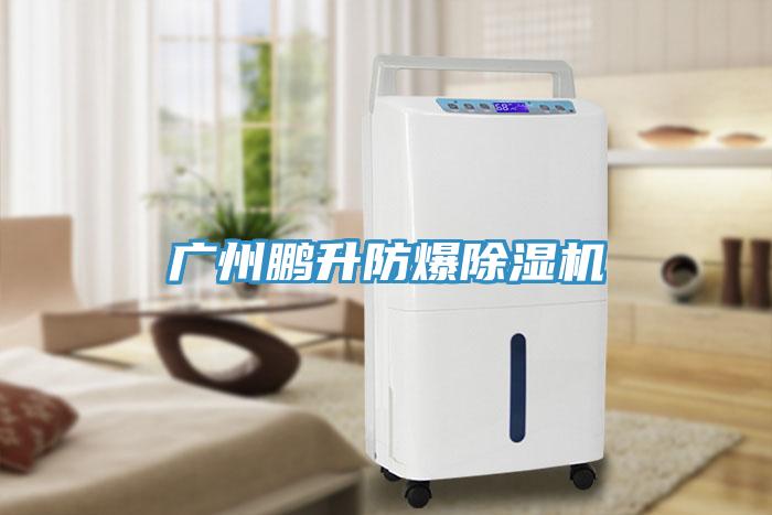 廣州鵬升防爆91看片网站