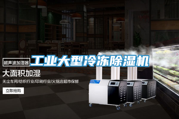 工業大型冷凍91看片网站