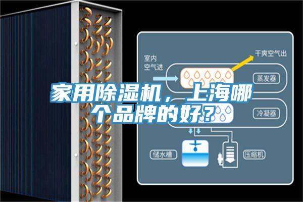 家用91看片网站，上海哪個品牌的好？