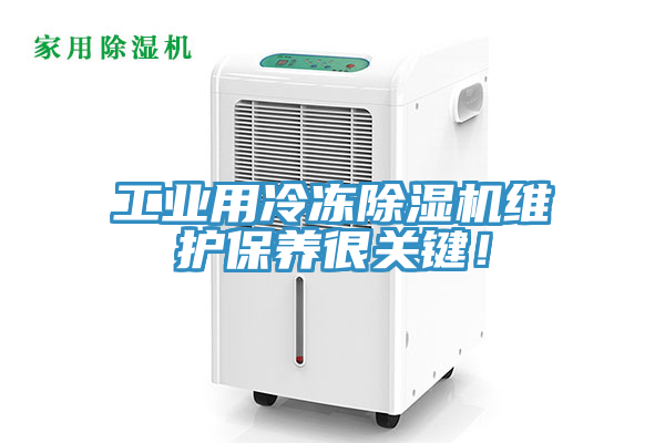 工業用冷凍91看片网站維護保養很關鍵！