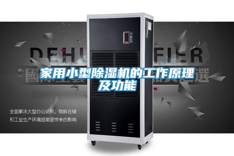 家用小型91看片网站的工作原理及功能