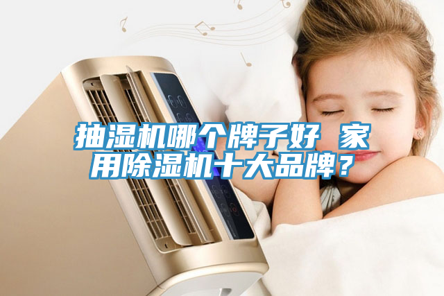 抽濕機哪個牌子好 家用91看片网站十大品牌？