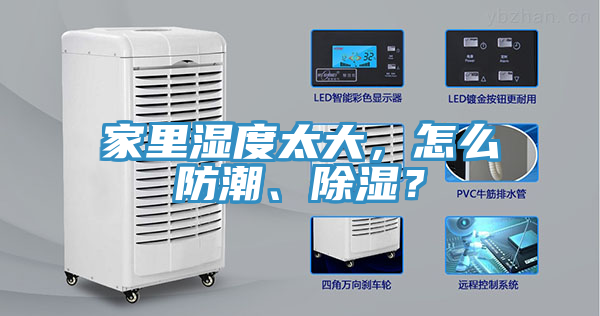家裏濕度太大，怎麽防潮、除濕？