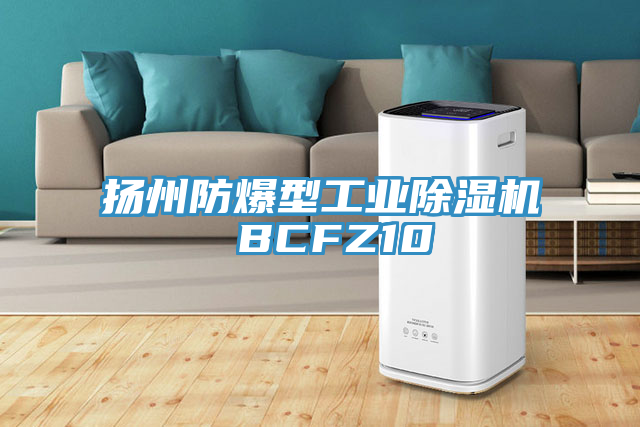 揚州防爆型工業91看片网站 BCFZ10