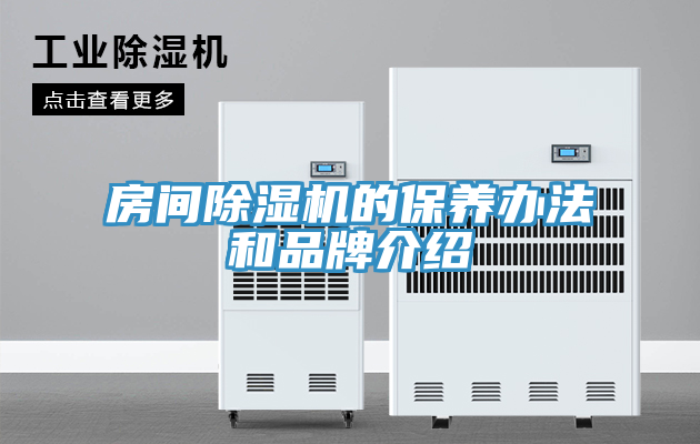 房間91看片网站的保養辦法和品牌介紹