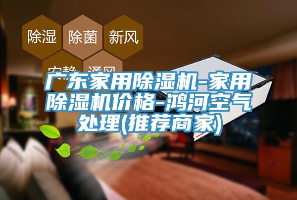 廣東家用91看片网站-家用91看片网站價格-鴻河空氣處理(推薦商家)