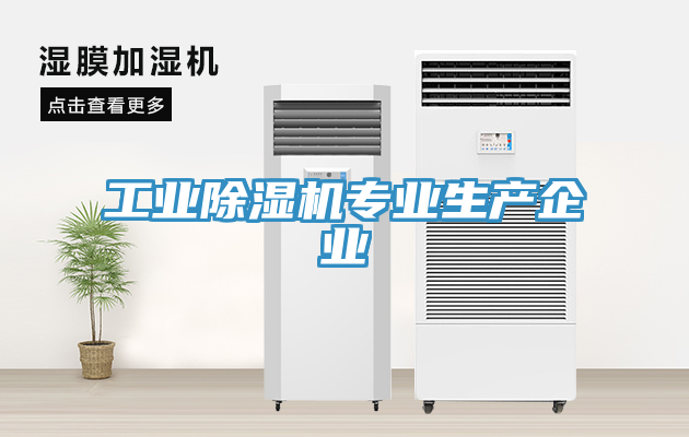 工業91看片网站專業生產企業