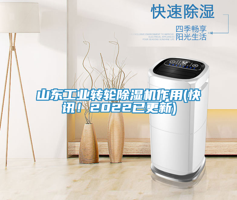 山東工業轉輪91看片网站作用(快訊！2022已更新)