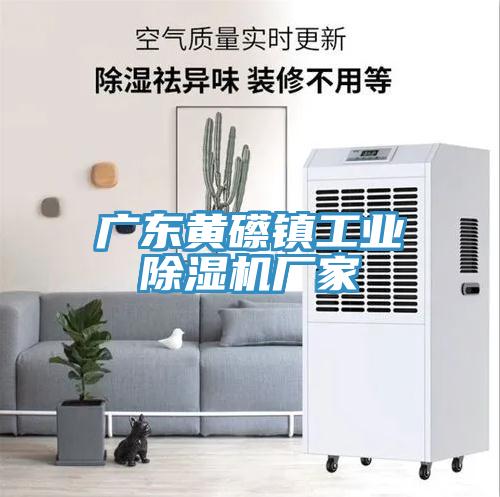 廣東黃礤鎮工業91看片网站廠家