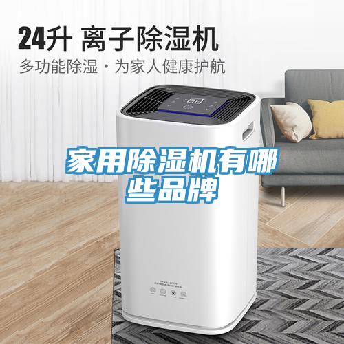 家用91看片网站有哪些品牌