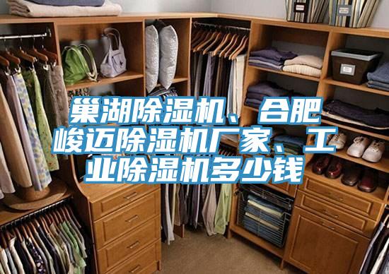 巢湖91看片网站、合肥峻邁91看片网站廠家、工業91看片网站多少錢
