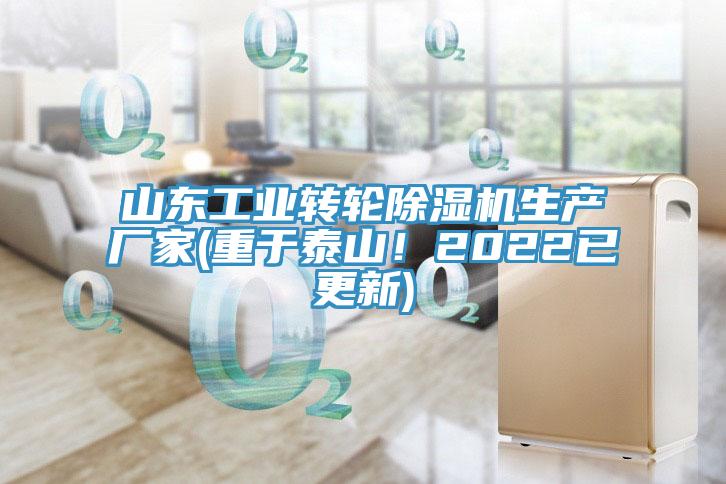 山東工業轉輪91看片网站生產廠家(重於泰山！2022已更新)