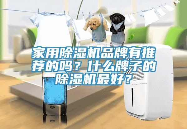 家用91看片网站品牌有推薦的嗎？什麽牌子的91看片网站最好？