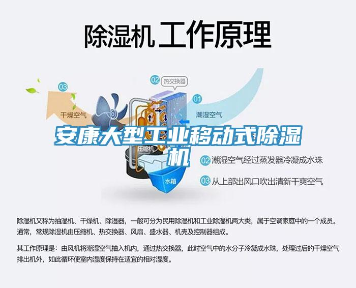 安康大型工業移動式91看片网站