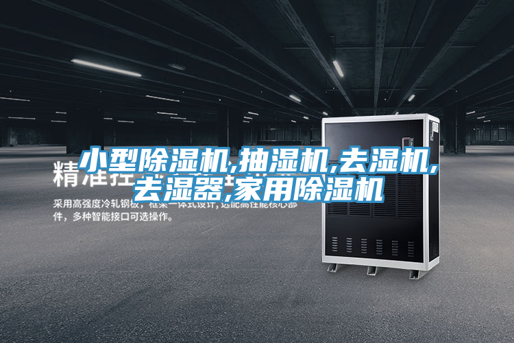 小型91看片网站,抽濕機,去濕機,去濕器,家用91看片网站