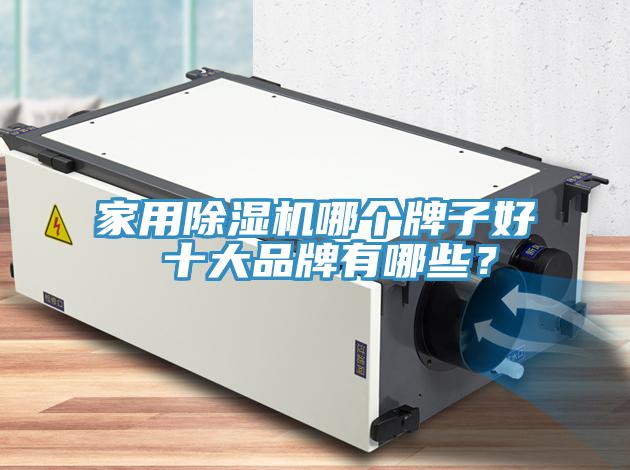 家用91看片网站哪個牌子好 十大品牌有哪些？