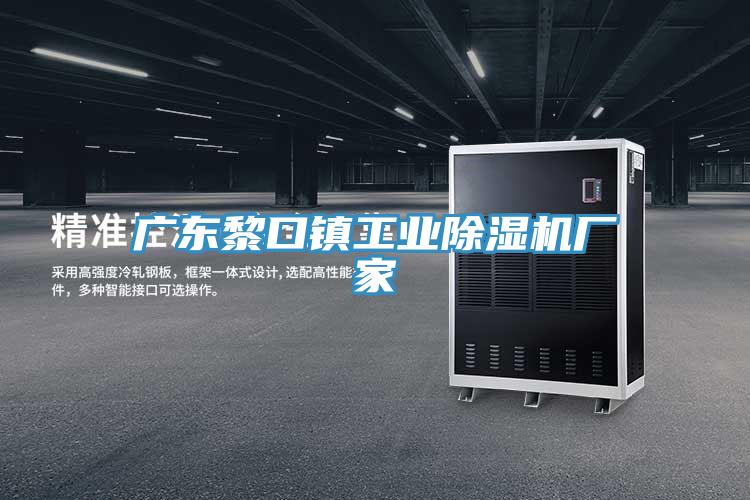 廣東黎口鎮工業91看片网站廠家