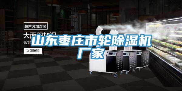 山東棗莊市輪91看片网站廠家