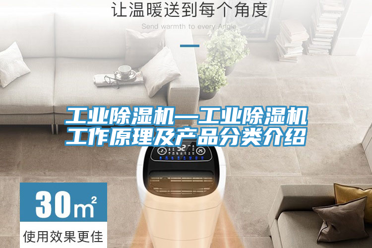 工業91看片网站—工業91看片网站工作原理及產品分類介紹