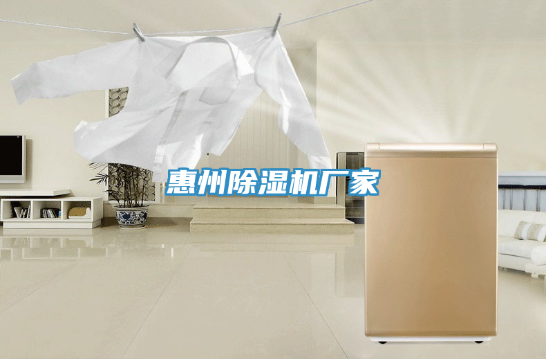 惠州91看片网站廠家