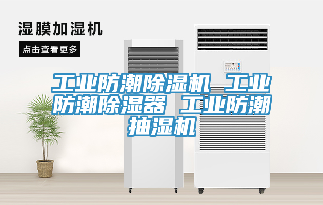 工業防潮91看片网站 工業防潮除濕器 工業防潮抽濕機