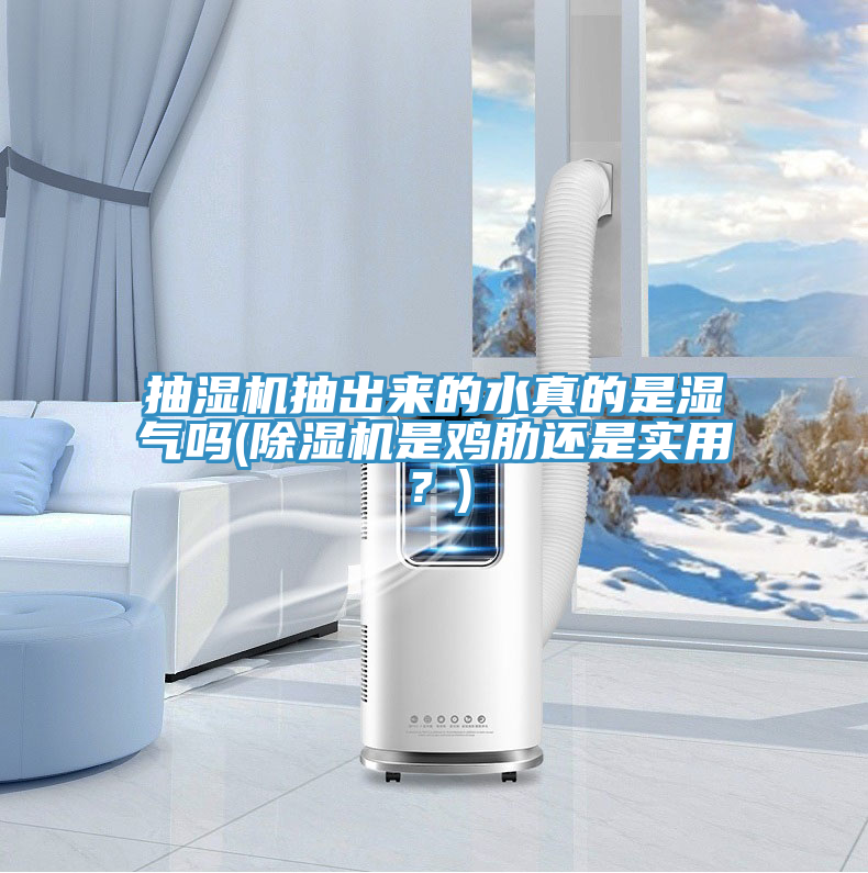 抽濕機抽出來的水真的是濕氣嗎(91看片网站是雞肋還是實用？)