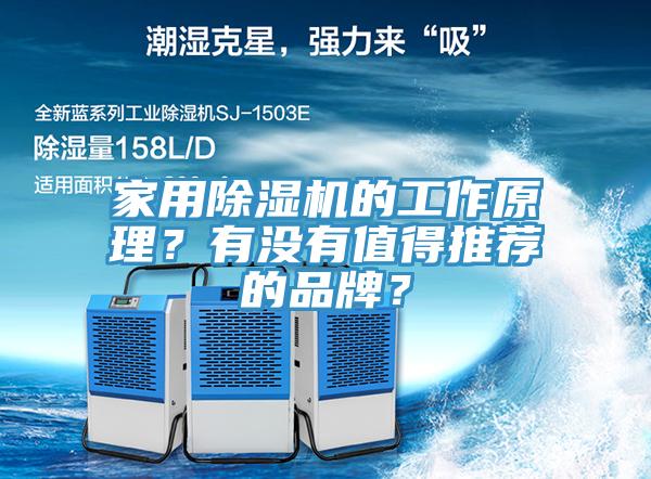家用91看片网站的工作原理？有沒有值得推薦的品牌？