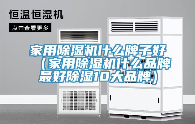 家用91看片网站什麽牌子好（家用91看片网站什麽品牌最好除濕10大品牌）