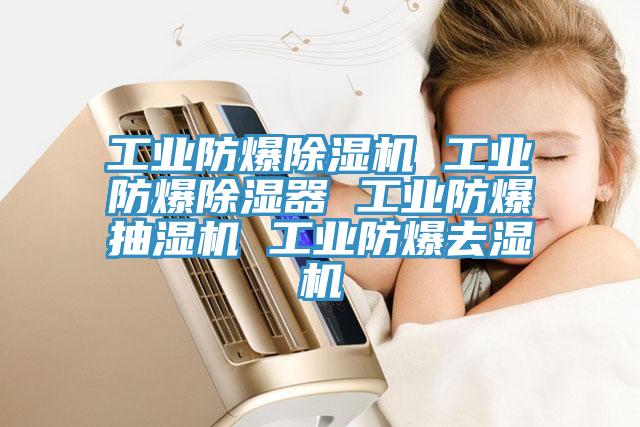 工業防爆91看片网站 工業防爆除濕器 工業防爆抽濕機 工業防爆去濕機
